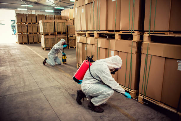 Best Pest Removal Services  in Yadkinville, NC