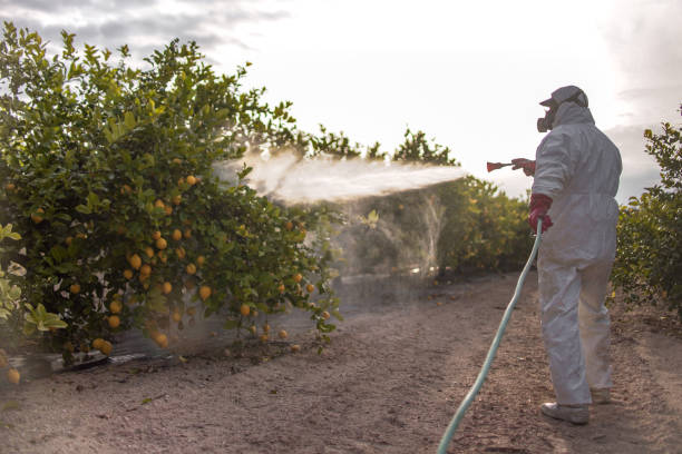 Best Best Pest Control Companies  in Yadkinville, NC