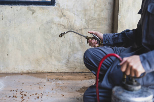 Best Residential Pest Control  in Yadkinville, NC