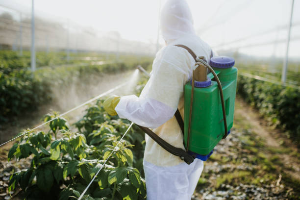 Best Mosquito Control Services  in Yadkinville, NC